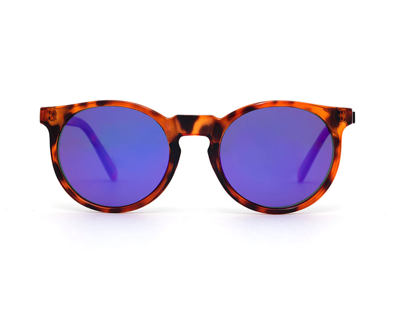 Tortoise x Purple