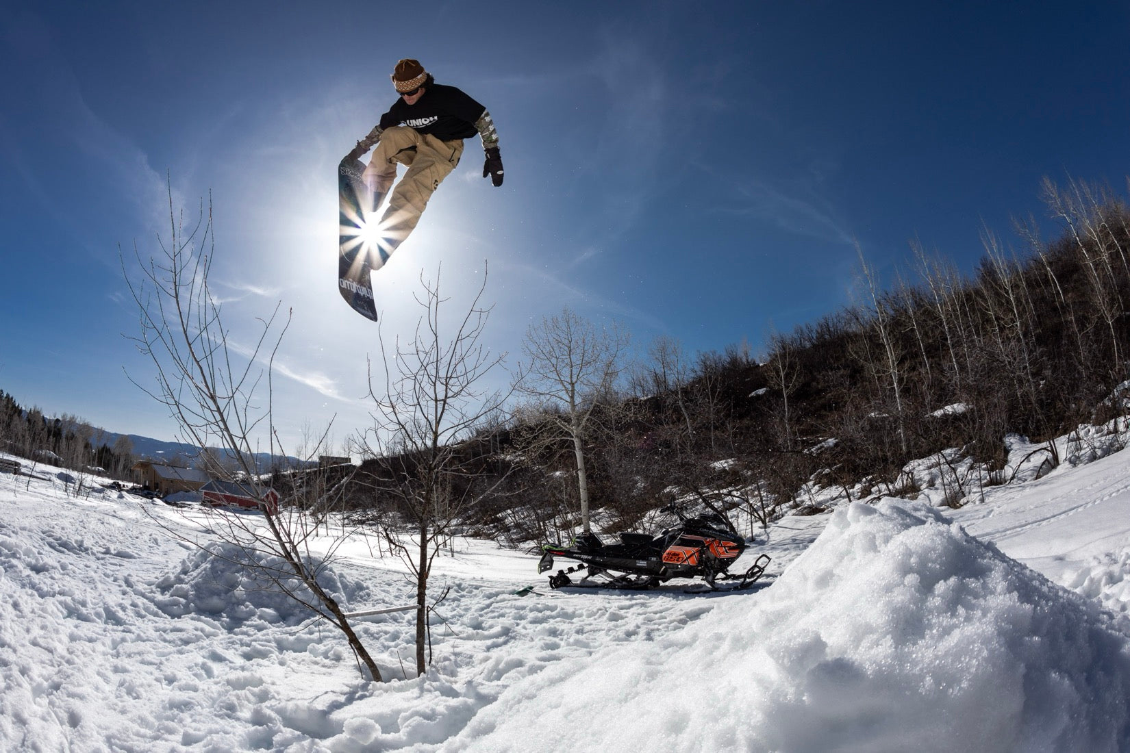 Sun-star jump in the trees